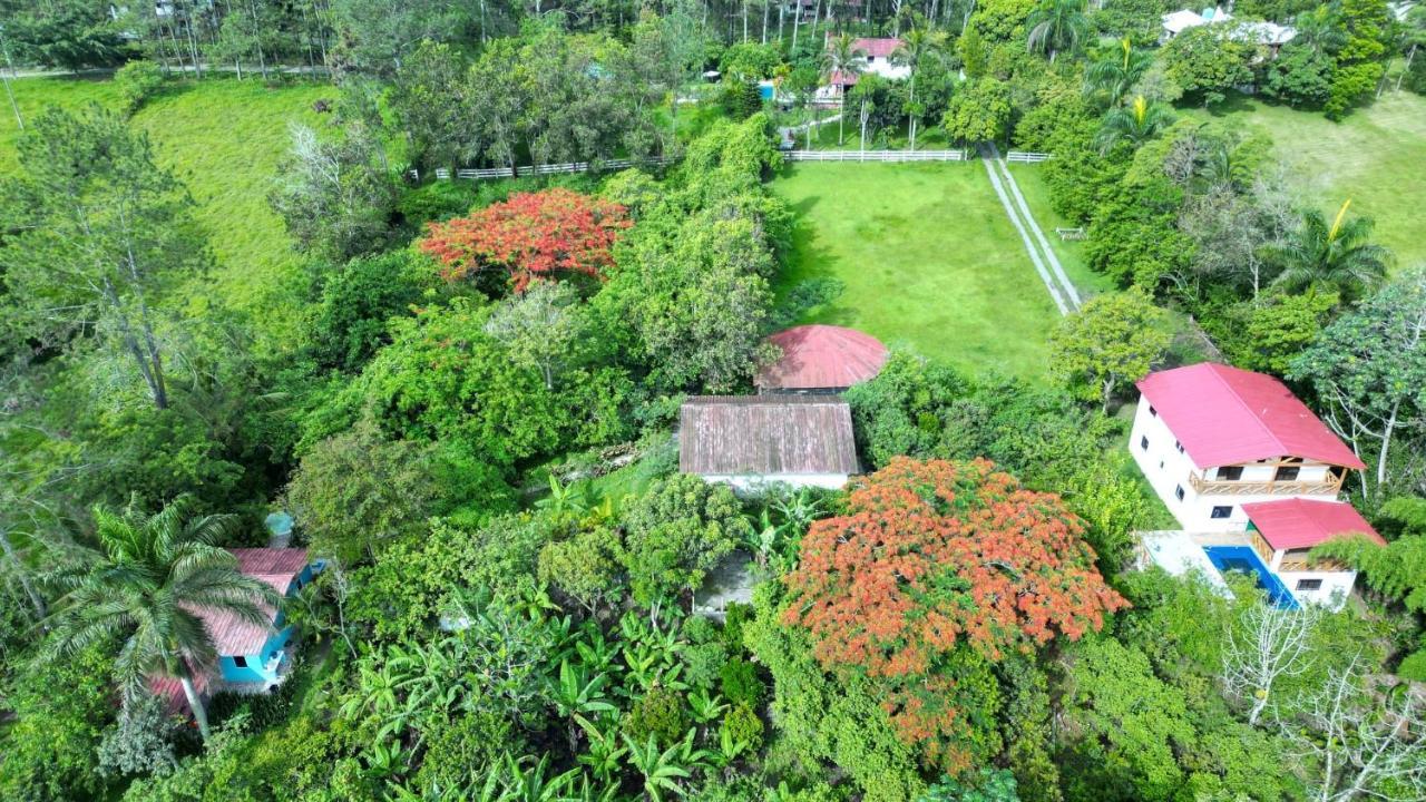 Haus Unter Palmen Villa Jarabacoa Exteriör bild